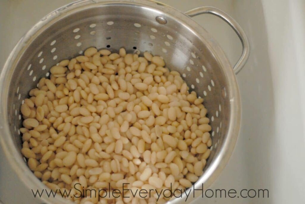 Beans in metal colander