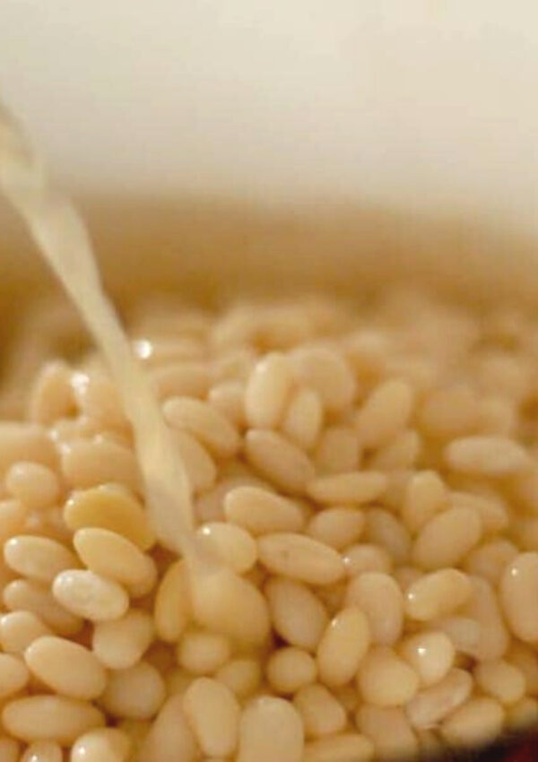 The Very Best Navy Bean Soup