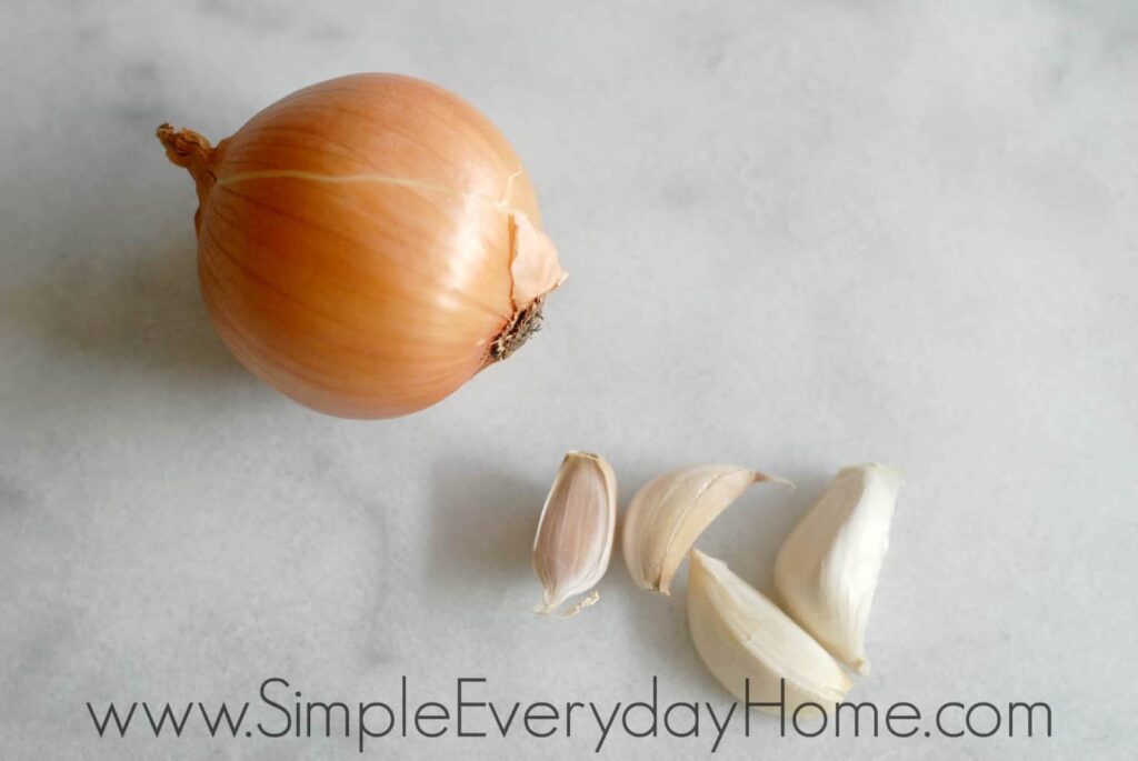 Onion and garlic cloves on counter