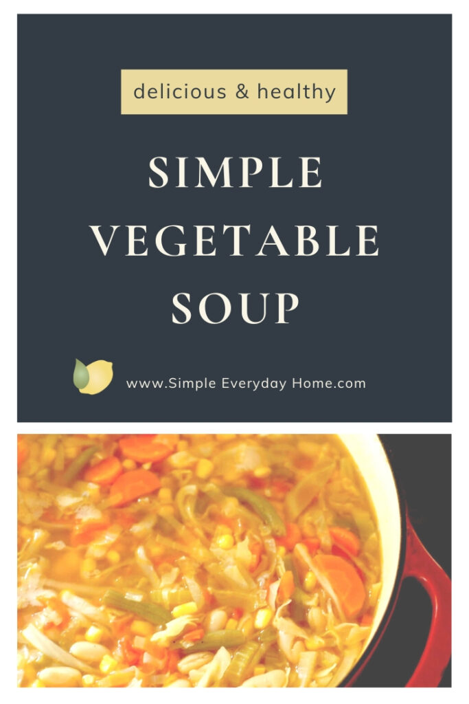 Simple Chunky Vegetable Soup - Everyday Healthy Recipes