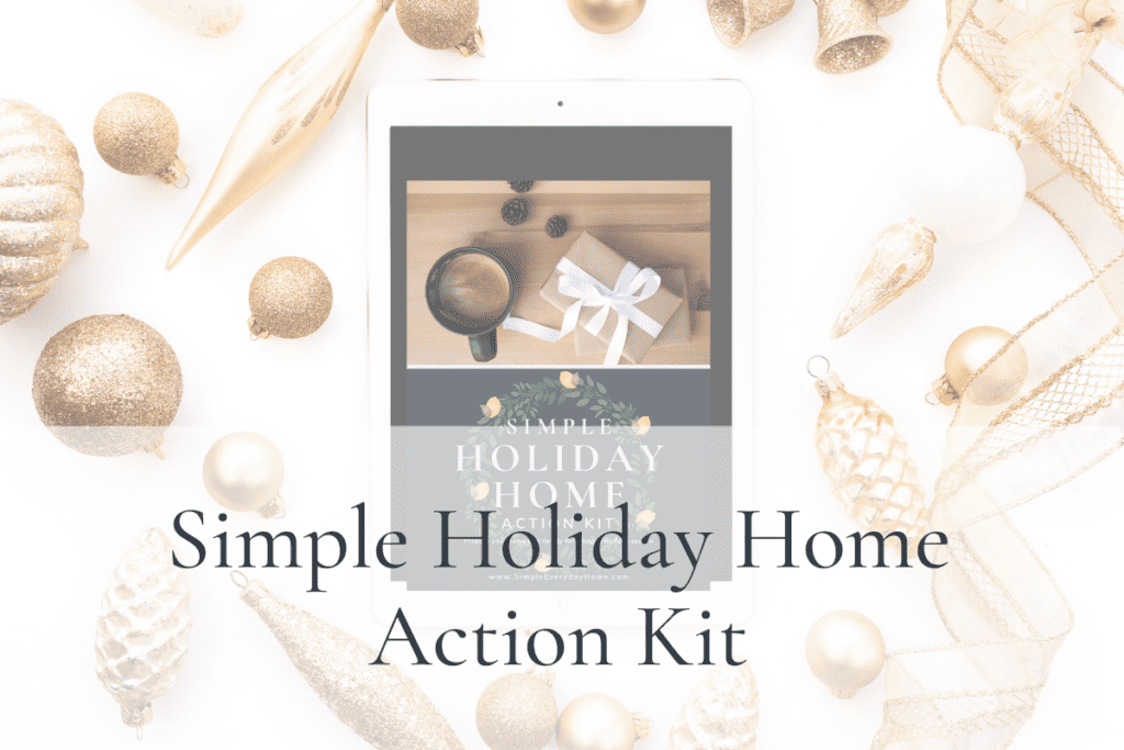 Cover for Simple Holiday Home Action Kit